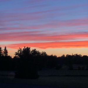 Meet your Posher, Mj